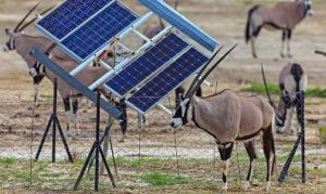 Африку ожидает бум солнечной энергетики