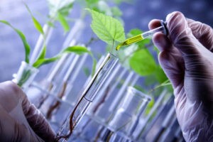 Шнобелевские премии присуждены Volkswagen, человеку-барану и знатоку нижнего белья