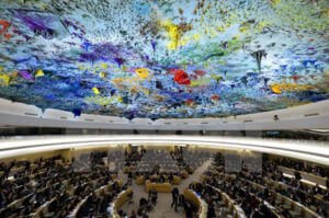 Более 80 организаций потребовали исключить Россию из Совета ООН по правам человека