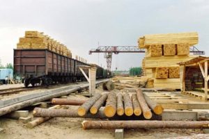 В России создают предприятие по лесопереработке с Арменией и Китаем