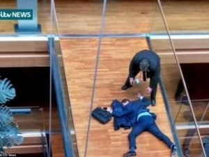 Британские парламентарии подрались в Европарламенте
