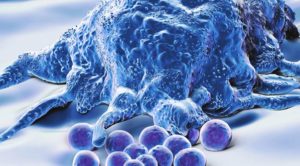 Ученые случайно изобрели лекарство от рака