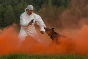 В российской военной базе в Армении началась подготовка военных кинологов