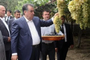 Таджики пойдут под суд за оскорбление Рахмона