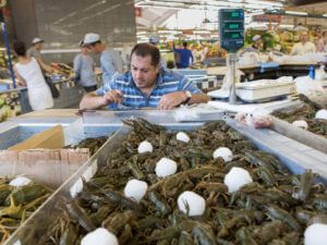 Минэкологии Армении изучит коррупционные риски при ловле и экспорте рыбы и раков из Севана