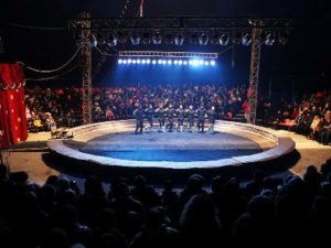 В Ереване выступили артисты московского шапито