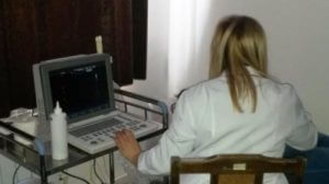 В Армении будут проводиться труднодоступные исследования спортсменов