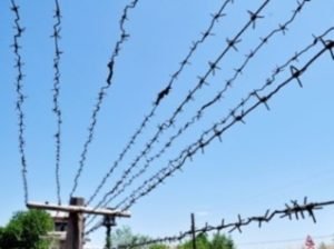 Незаконно пересекшего армяно-азербайджанскую границу направили на принудительное лечение