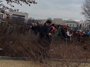 Саакашвили наблюдал за инаугурацией Трампа из кустов