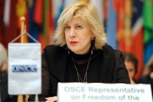 Представитель ОБСЕ по вопросам свободы СМИ обеспокоена ситуацией вокруг Лапшина