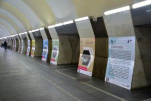В Ереванском метрополитене открылась выставка фотографий «Кавказский леопард – царь армянских гор»