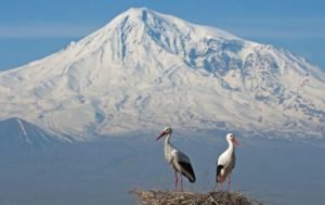 Армения встретит долгожданную весну снегом и туманом