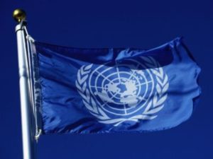 ООН обвинила Турцию в нарушениях прав курдов