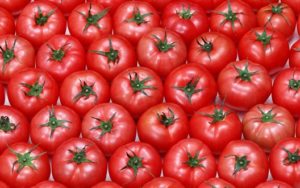 Россия не снимет ограничения на ввоз продуктов из Турции