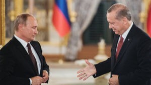 "Дружба России и Турции развивается стремительно" Анкара приостановила беспошлинный ввоз пшеницы и кукурузы из РФ
