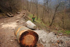 Как уничтожают леса Армении ради мифического "развития туризма"