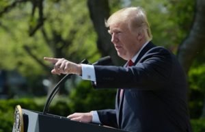 Дональд Трамп рассказал о Путине и о животном, которое он защищает