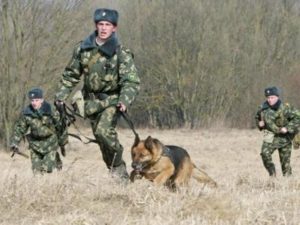 Азербайджанец задержан при попытке пересечения границы