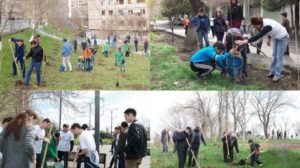 В столице сажают тысячи деревьев и розовых кустов