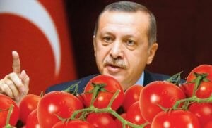 Путин: Россия не снимет запрет на импорт помидоров из Турции