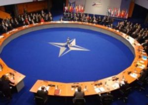 ПА НАТО приняла декларацию в поддержку Грузии