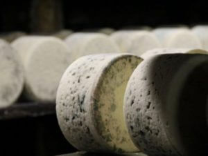В Армении выделили территорию под производство плесневых сыров