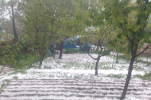 Град нанес урон посевам в Гегаркуникской области Армении