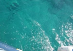 Черное море изменило цвет