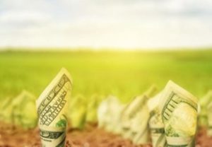 В Грузии запретят продажу земли иностранцам