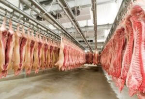 Премьер-министр Армении: В регионах нужны современные скотобойни