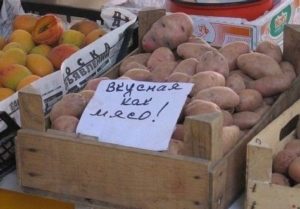 Россия не пропустила 400 тонн сельхозпродукции из Азербайджана