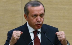 МИД Израиля поставил на место Эрдогана и посоветовал заняться проблемами Турции