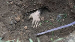 «Чистка» в азербайджанской армии набирает обороты