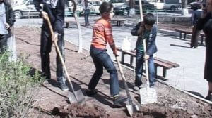 В Ереване 29-го июля состоится общегородской субботник