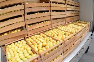 За последние 7 лет таких показателей не было