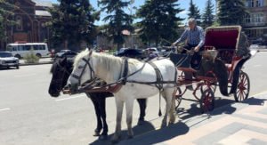 Уголовное дело по факту избиения кучера направлено в ССС