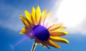 40-градусная жара продержится в Армении еще несколько дней