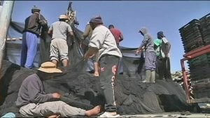 В Тунисе рыбаки вышли на защиту мигрантов от крайне правых европейцев