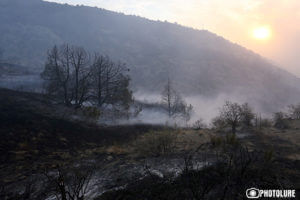 Лесной пожар в Вайоцдзорской области локализован