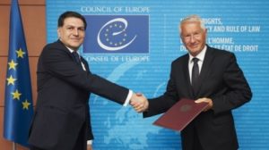 Удовлетворительные результаты: представитель Армении о решении СЕ