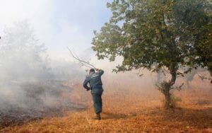 МЧС Армении тушит пожары палками и тряпками