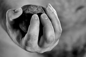 В Беларуси «тунеядцев» отправляют собирать камни в полях