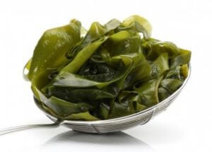 Российские ученые разработали питание, помогающее пережить холода