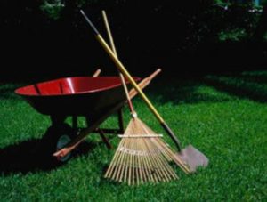 «Чистая Армения»: 21 октября республиканский субботник