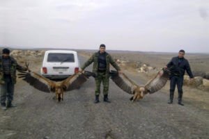 Полиция Армении отмазывает «чиновника-маньяка»