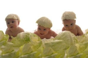 Естественный прирост населения Армении