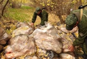 Пограничники нашли почти две тонны бараньего жира на армяно-турецкой границе