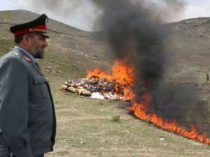 В Афганистане уничтожены девять нарколабораторий «Талибана»