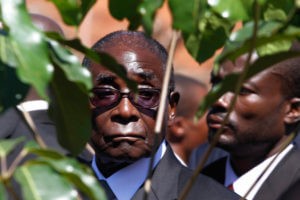 Диктатор Мугабе продолжает сопротивляться