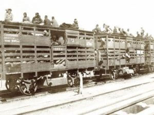 На Netflix покажут фильм о помощи пережившим Геноцид армян